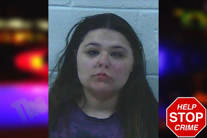 Emilee Johnson Mugshots