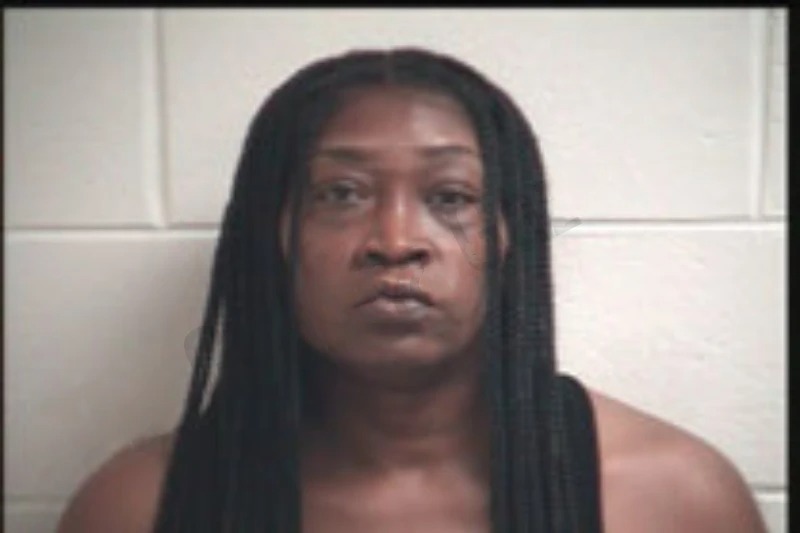 Emilia Bankston Mugshots