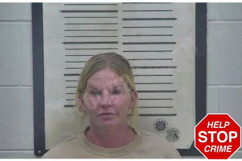 Emily Carver mugshot