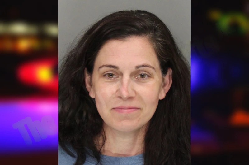 Emily Dailey mugshot – Cobb County , Georgia Emily Dailey mugshot