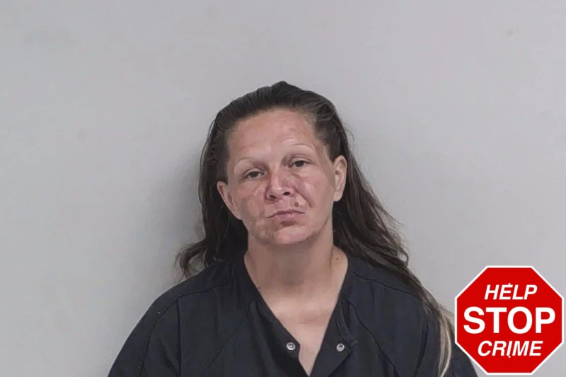 Emily Hancock Mugshots