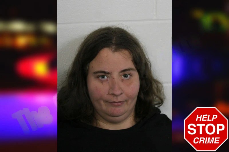 Emily Holcombe mugshot – Floyd County , Georgia Emily Holcombe mugshot