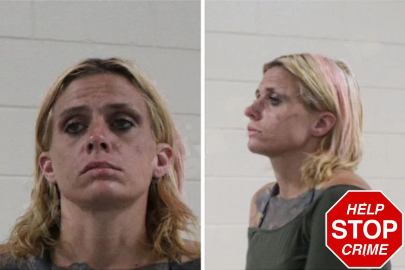 Emily Warner Mugshots