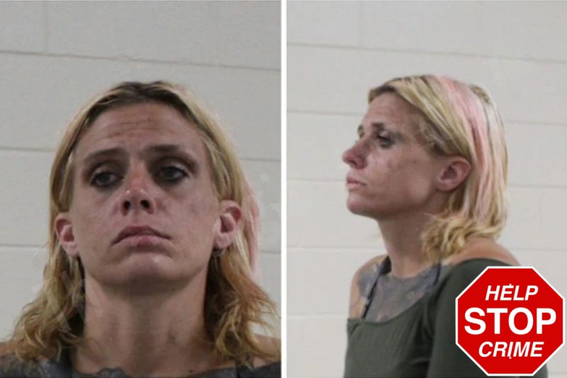 Emily Warner mugshot