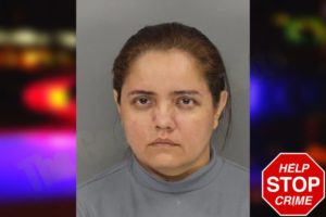 Emly Hernandez mugshot