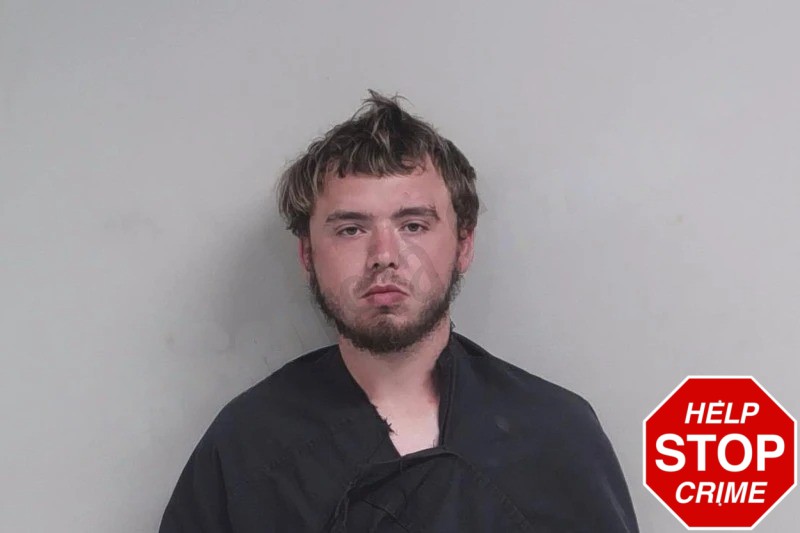 Emmett Lamb Mugshots