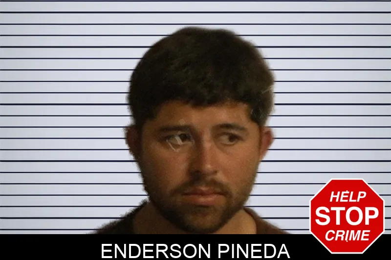 Enderson Pineda Mugshots