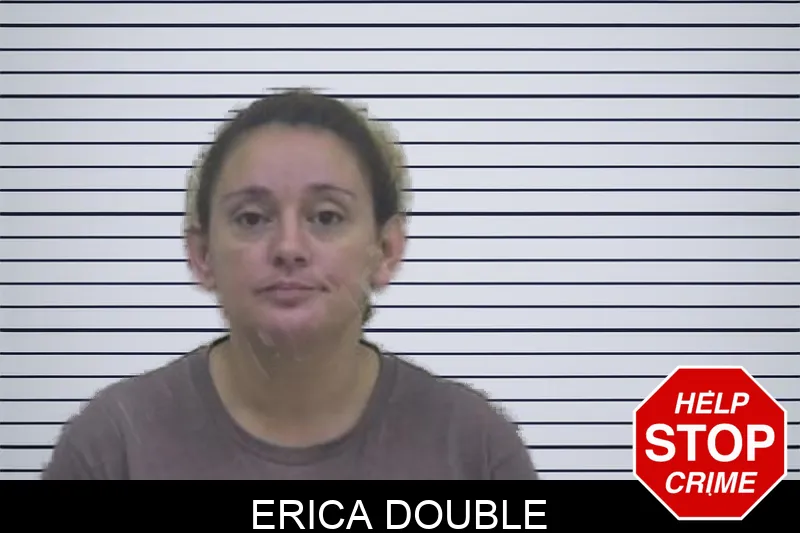 Erica Double Mugshots