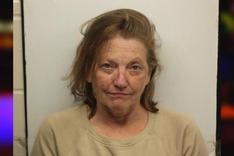 Erica Driggers Mugshots