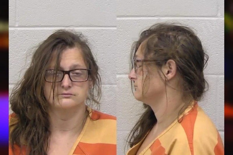 Erica Elmore Mugshots