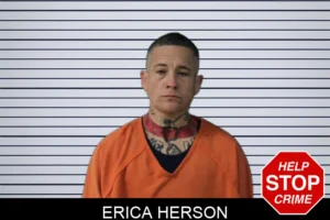 Erica Herson mugshot