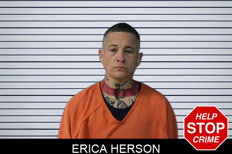 Erica Herson Mugshots