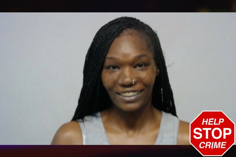 Erica Ingram Mugshots