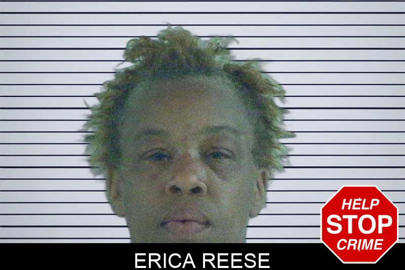 Erica Reese Mugshots