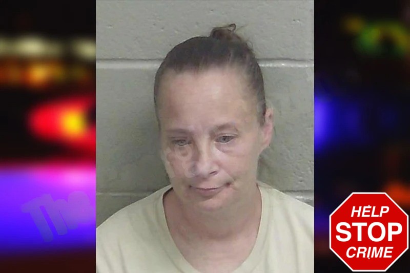 Erica Taylor mugshot