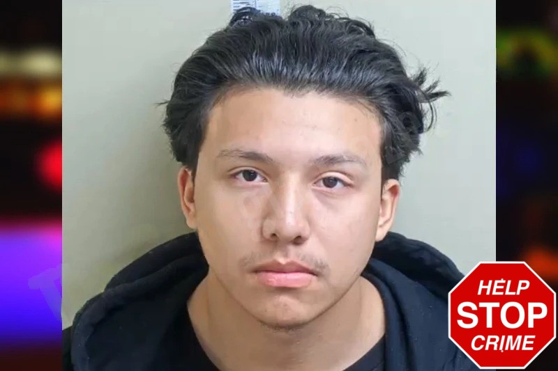 Erick Valles Mugshots