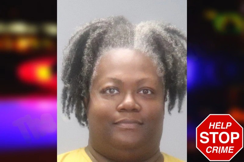 Ericka Ellison Mugshots