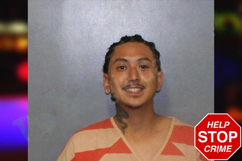 Erik Estrada mugshot – White County , Georgia Erik Estrada mugshot