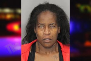 Erin Garrett mugshot