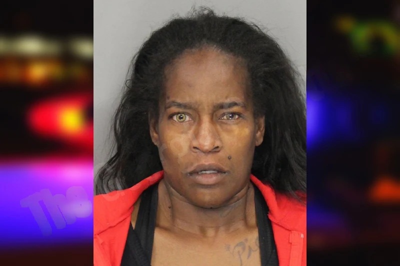 Erin Garrett Mugshots