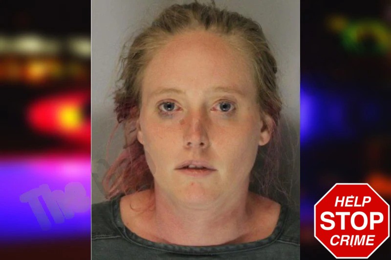 Erin Hungerford mugshot