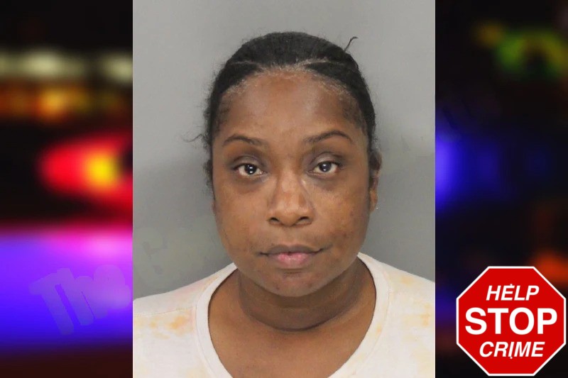 Erin Vickers mugshot – Cobb County , Georgia Erin Vickers mugshot