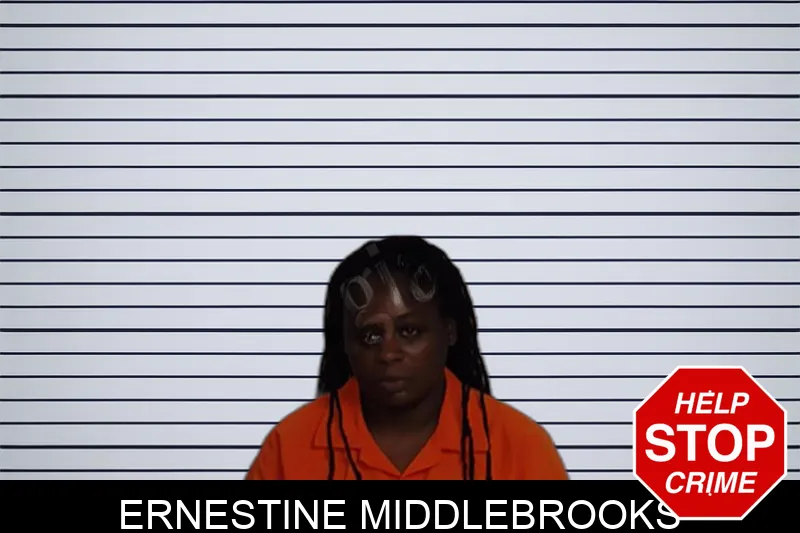 Ernestine Middlebrooks Mugshots