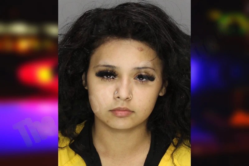 Esther Reyes mugshot