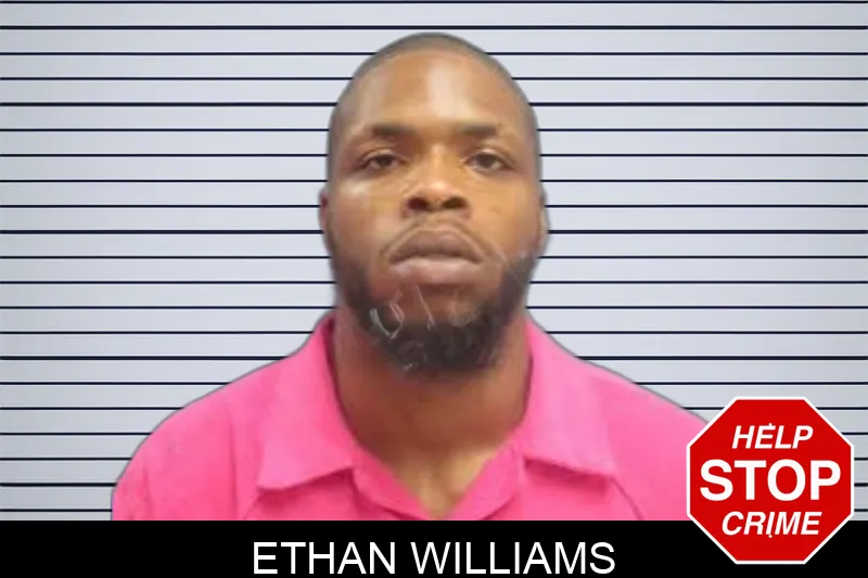 Ethan Williams Mugshots