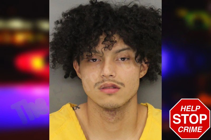 Etienne Anariva mugshot – Cobb County , Georgia Etienne Anariva mugshot