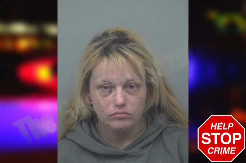 Eva Litteral mugshot – Gwinnett County , Georgia Eva Litteral mugshot