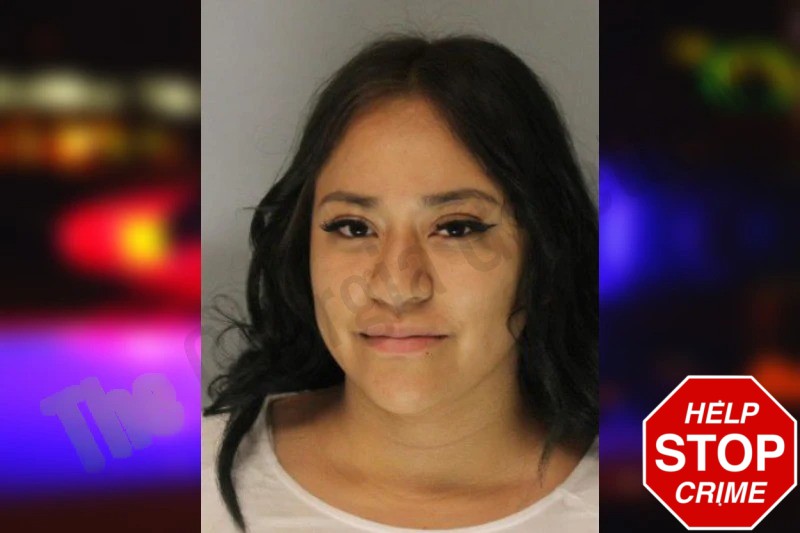 Evelyn Vega Mugshots