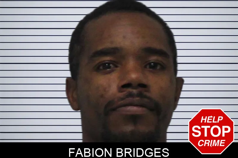 Fabion Bridges mugshot – Carroll County , Georgia Fabion Bridges mugshot