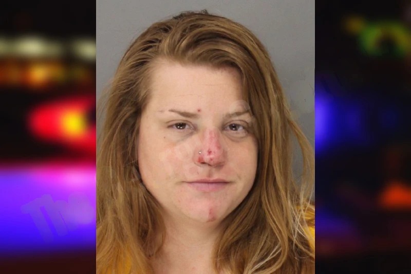 Faye Allison mugshot – Cobb County , Georgia Faye Allison mugshot