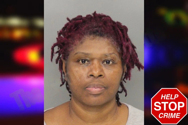 Felicia Woods mugshot – Cobb County , Georgia Felicia Woods mugshot