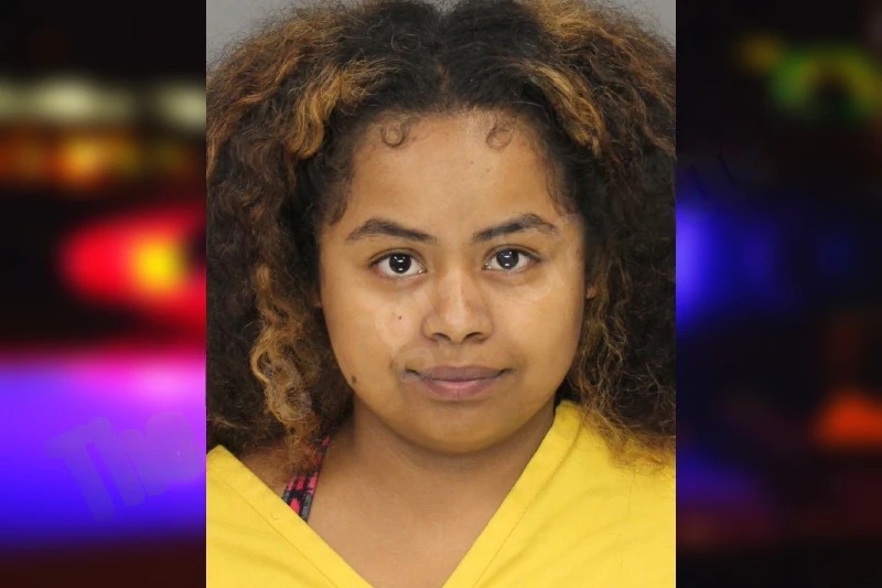 Fernanda Cuenca Mugshots