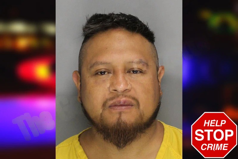 Fernando Delacruz Mugshots