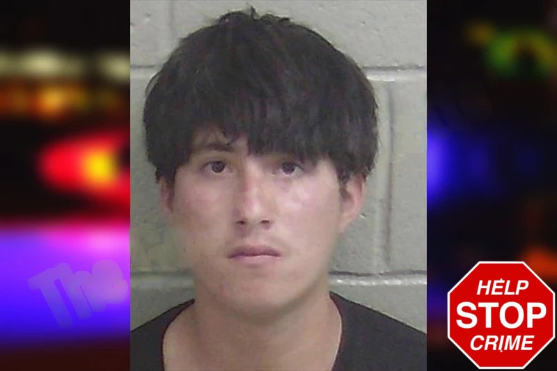 Fernando Vasquez Mugshots