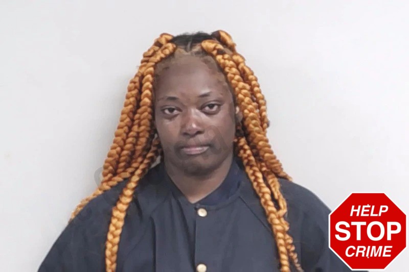 Fredisha Johnson Mugshots
