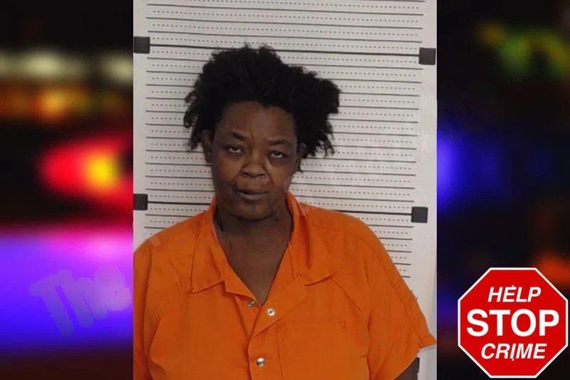 Fredrina Boyd Mugshots