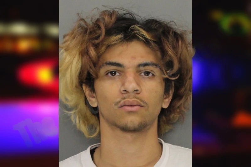 Gabriel Hartsaw Mugshots