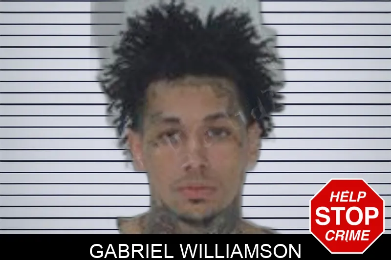 Gabriel Williamson Mugshots