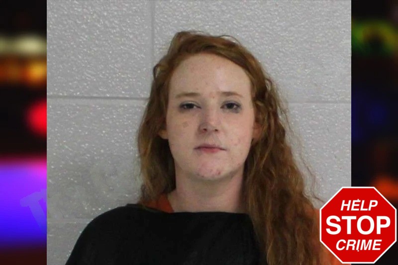 Gabriella Skinner Mugshots