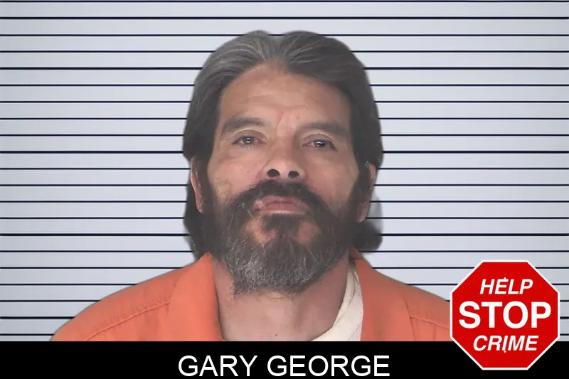 Gary George Mugshots
