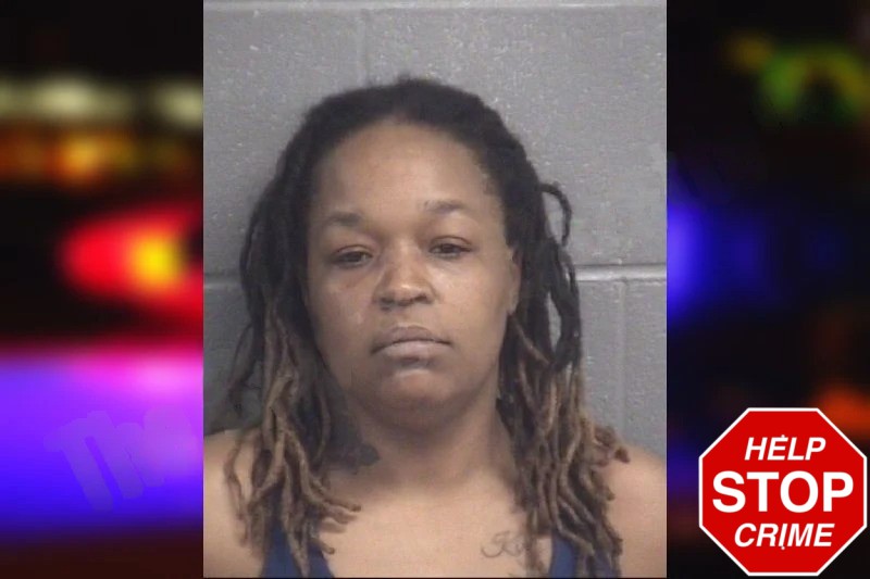 Geisha Henley mugshot – Spalding County , Georgia Geisha Henley mugshot