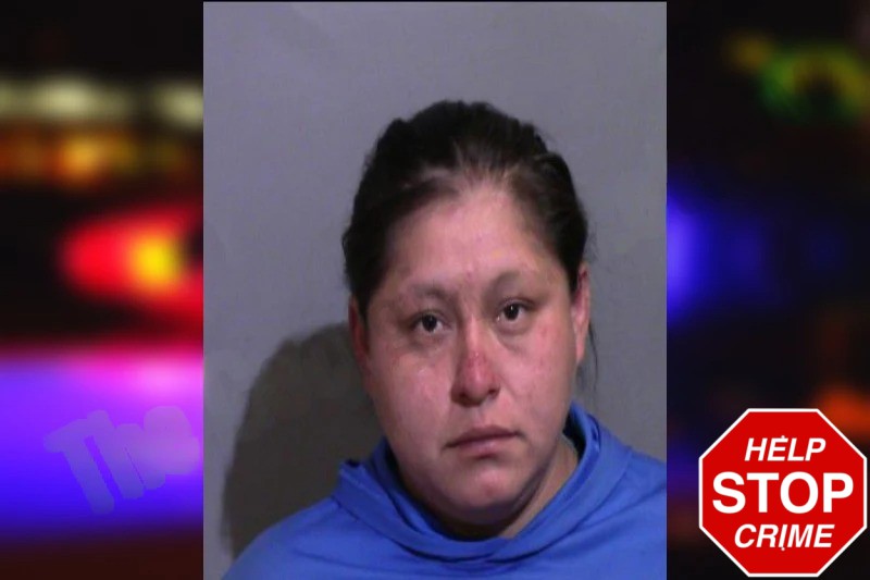 Georgina Mendez-Macias Mugshots