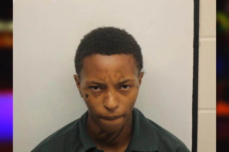 Giannah Baker Mugshots