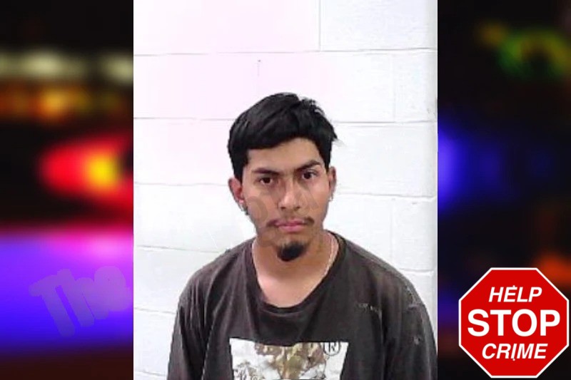 Gianncarlo Perez Mugshots