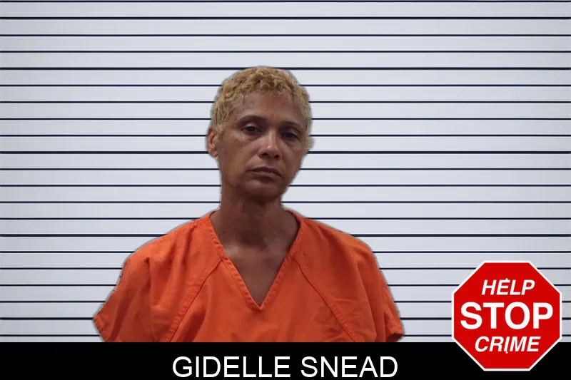 Gidelle Snead Mugshots