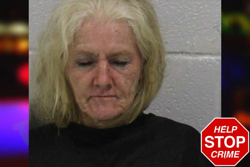 Gidget Bruce Mugshots